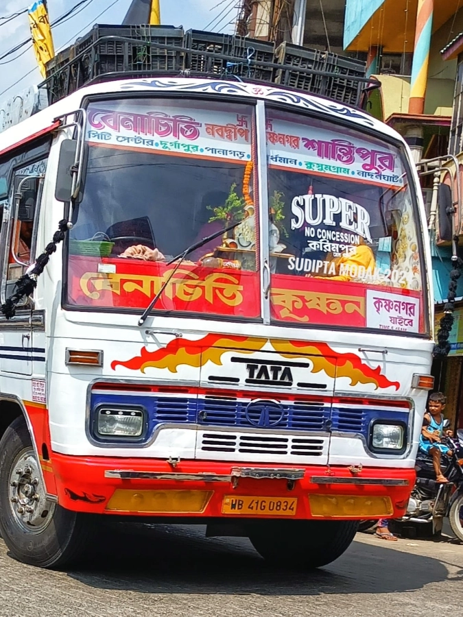 MAA MANASA