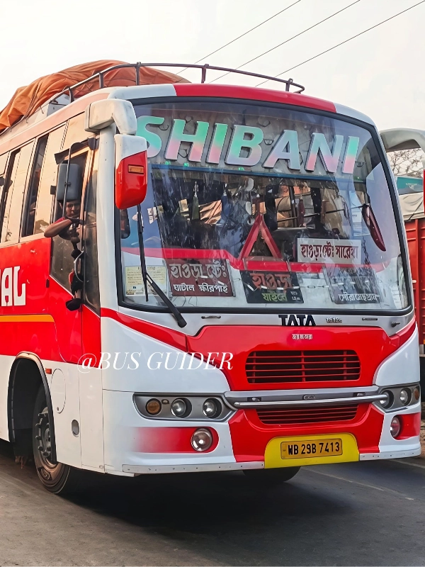 SHIBANI INTERNATIONAL